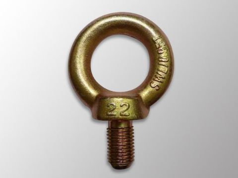 點擊查看詳細(xì)信息<br>標(biāo)題：DIN580 Eye Bolt 閱讀次數(shù)：1314