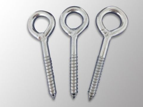 點(diǎn)擊查看詳細(xì)信息<br>標(biāo)題：Eye Bolt 閱讀次數(shù)：1246
