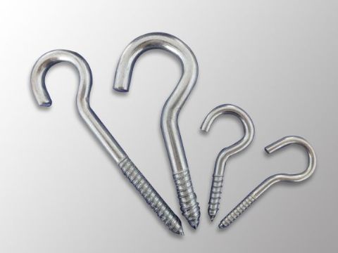點(diǎn)擊查看詳細(xì)信息<br>標(biāo)題：Eye Bolt 閱讀次數(shù)：1099