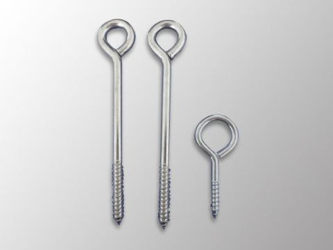 點(diǎn)擊查看詳細(xì)信息<br>標(biāo)題：Eye Bolt 閱讀次數(shù)：1170