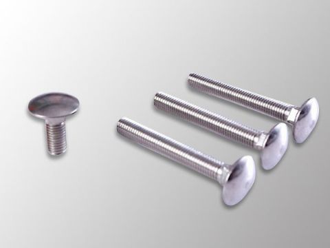 點(diǎn)擊查看詳細(xì)信息<br>標(biāo)題：Carriage Bolt 閱讀次數(shù)：1281